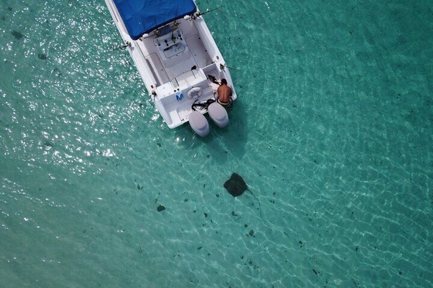 Full day Fishing Trip on Private boat at the South Pearl Islands