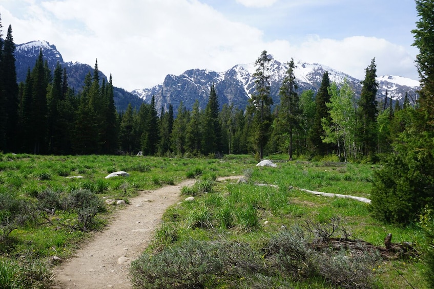 Yellowstone, Glacier & Grand Teton Self-Guided Driving Tours Bundle