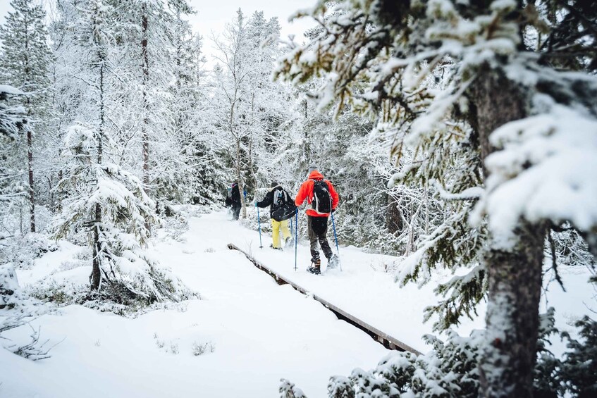 Picture 5 for Activity Stockholm: Winter Snowshoe Full-Day Hike