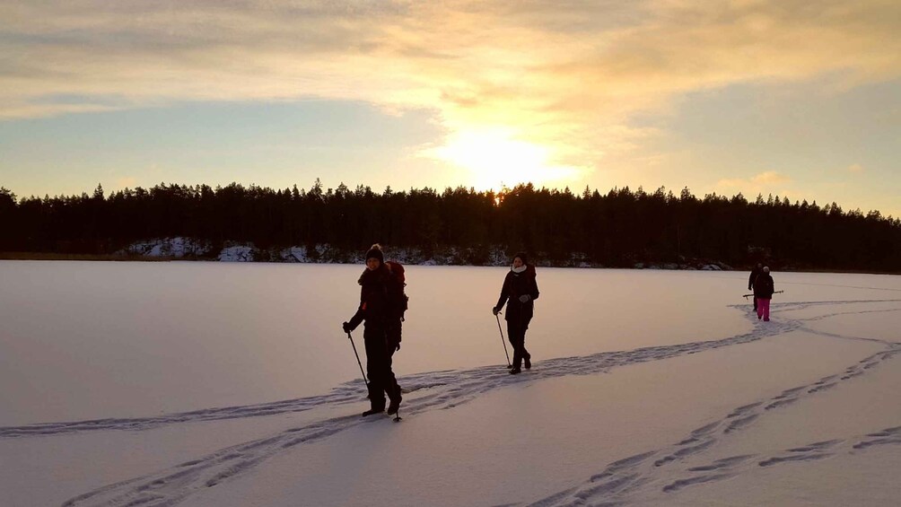 Picture 9 for Activity Stockholm: Winter Snowshoe Full-Day Hike