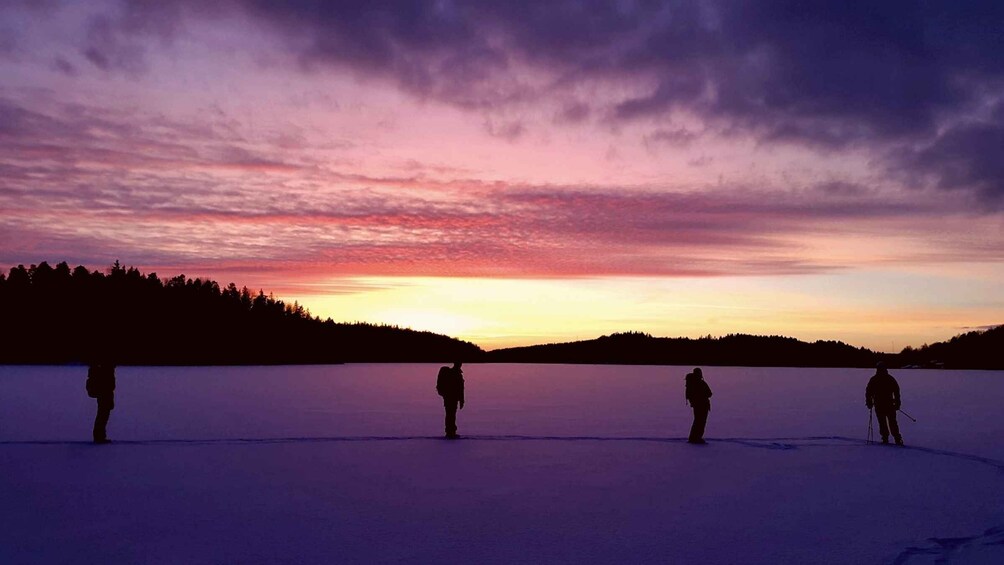 Picture 7 for Activity Stockholm: Winter Snowshoe Full-Day Hike