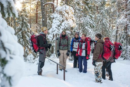 Stockholm: Vinter snöskovandring heldagsvandring