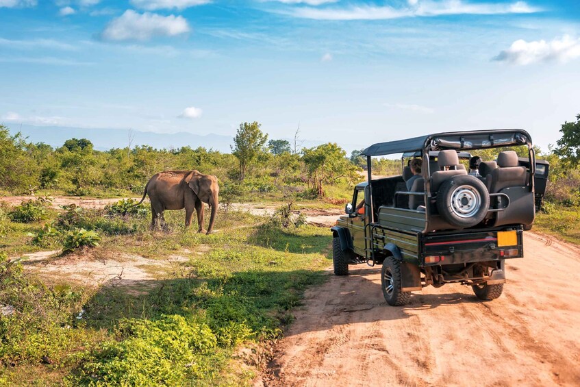 Picture 13 for Activity From Negombo: Udawalawa National Park Wildlife Safari