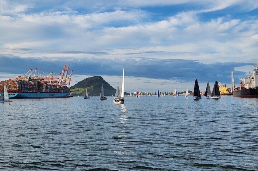 Bonus cruise of Tauranga harbour