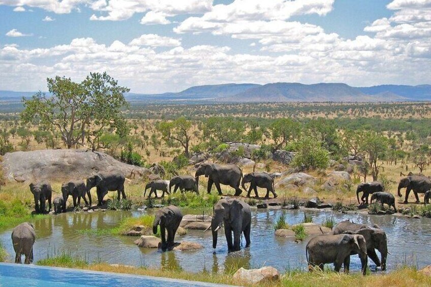 3 Days Hluhluwe Game Reserve & Isimangaliso Wetlands from Durban