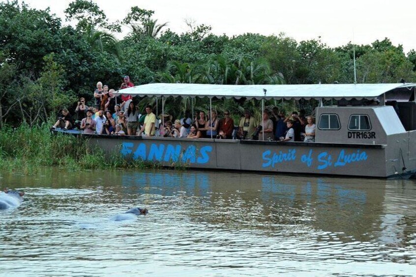 3 Days Hluhluwe Game Reserve & Isimangaliso Wetlands from Durban