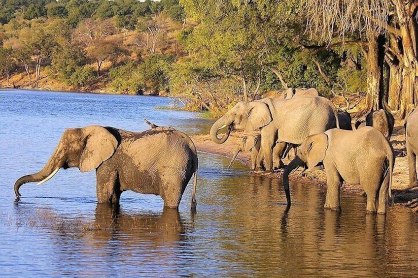 3 Days Hluhluwe Game Reserve & Isimangaliso Wetlands from Durban