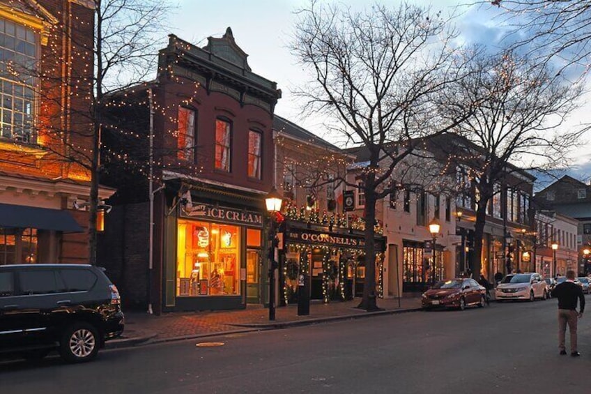 Alexandria History Private Tours 2 hours