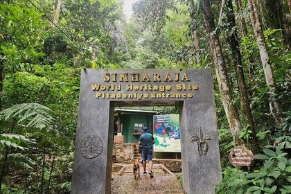 Sinharaja Rain Forest Guided Day Tour