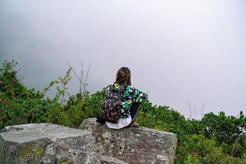 Private Tour through the Chicaque Natural Park and Forest of Fog