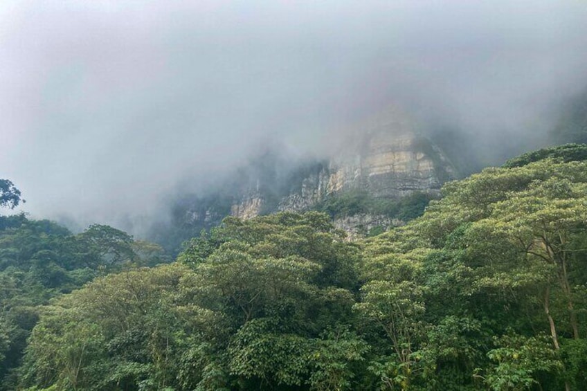 Private Tour through the Chicaque Natural Park and Forest of Fog