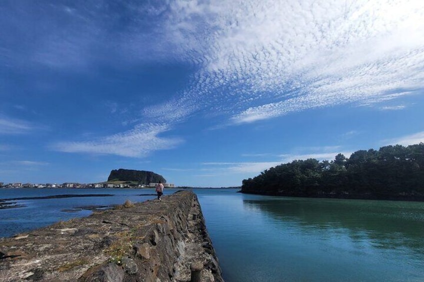 Jeju island Private Mini-Bus Package Tour-World Heritage / UNESCO