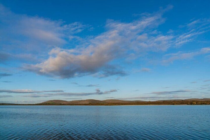 Lough Bunny