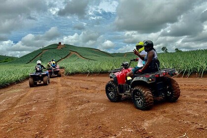 Unique Pineapple Farm Tour on 4 wheels
