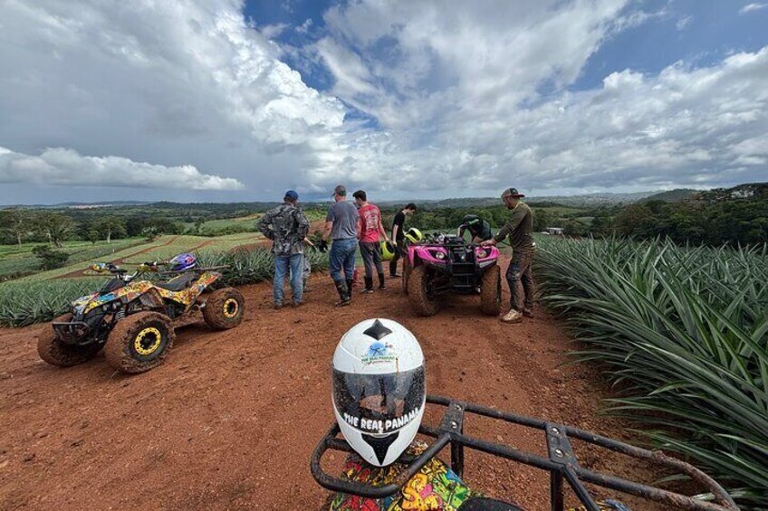 Unique 4 wheel adventure on a Pineapple Farm in Panama