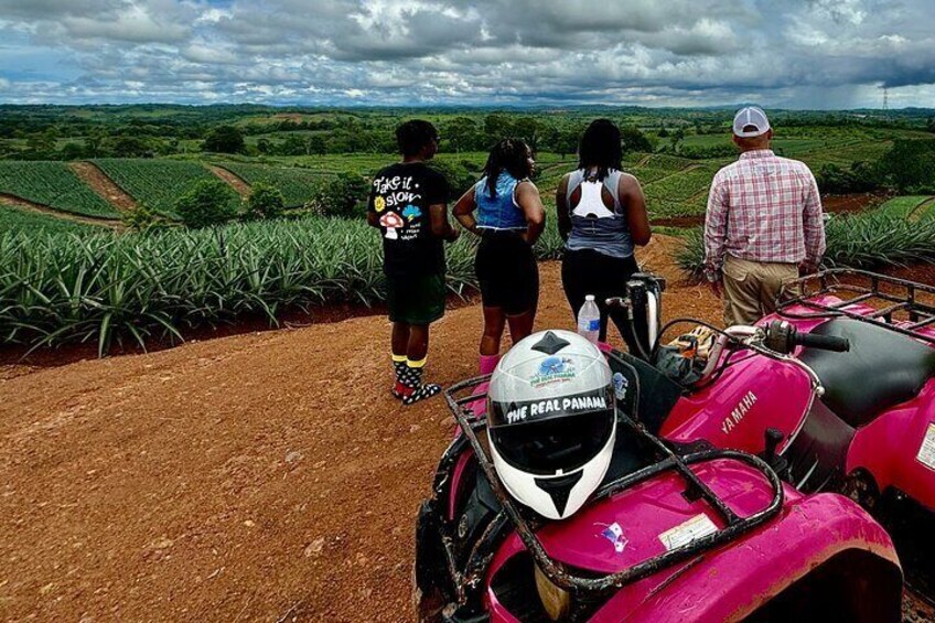 Awesome Muddy 4 Wheel + Pineapple Farm