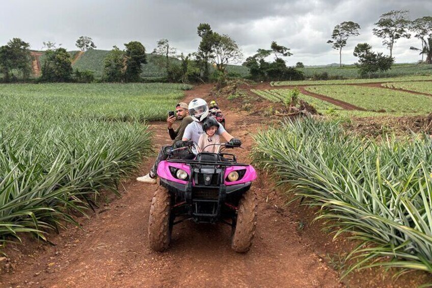 Unique 4 wheel adventure on a Pineapple Farm in Panama