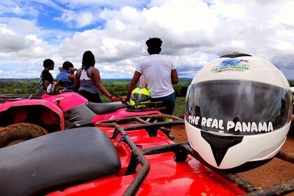 Tour único de 4 ruedas para familias en una granja privada de piña 