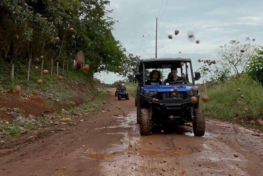 Unique 4 wheel adventure on a Pineapple Farm in Panama