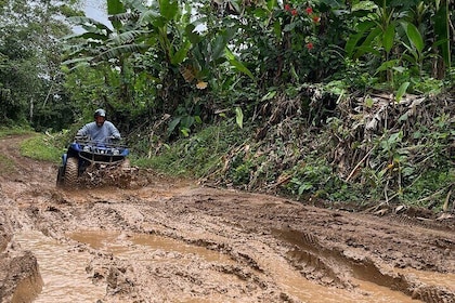 Private eXtreme Jungle ATV or 5 hrs Muddy ATV + Pineapple Farm