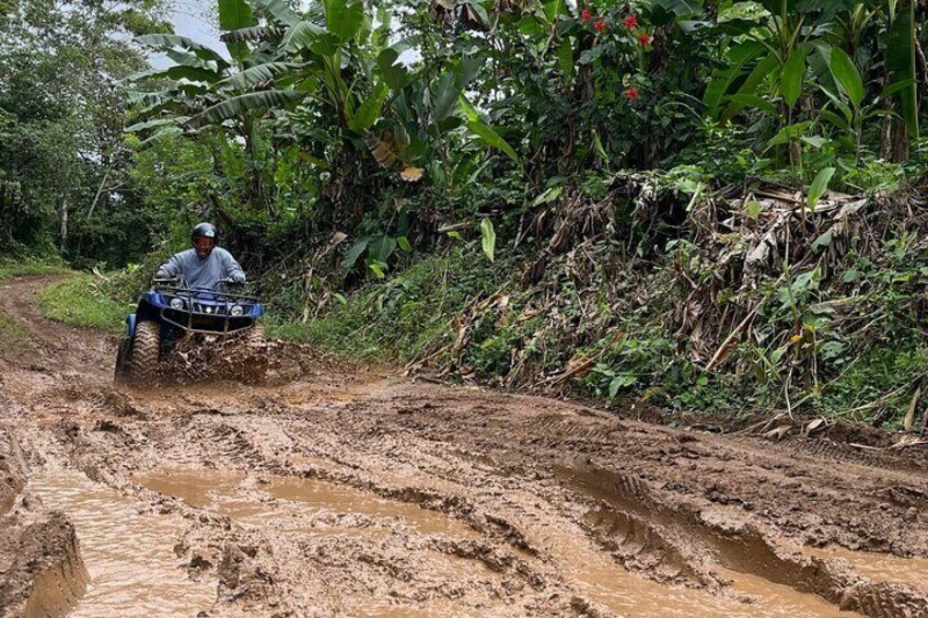 Awesome Muddy 4 Wheel + Pineapple Farm