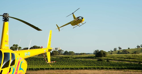 Från Lyndoch: 15-minuters helikopterflygning i Barossa Valley