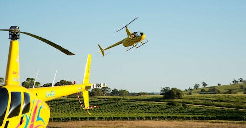 Fra Lyndoch: 15-minutters helikoptertur til Barossa Valley