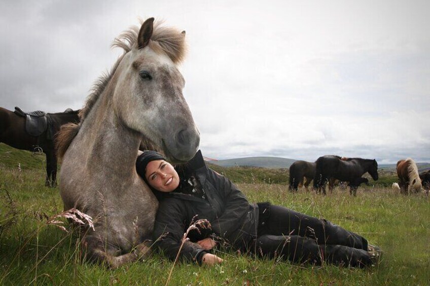 Horseback Riding Tour in Iceland