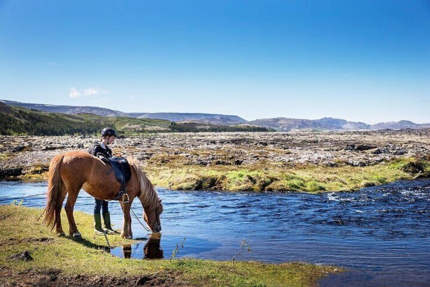 Horseback Riding Tour in Iceland