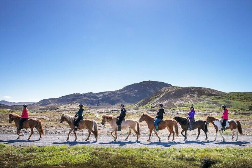 Horseback Riding Tour in Iceland