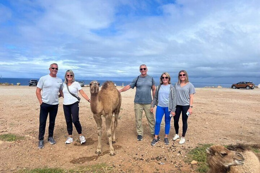 Vip Full Day Private Tangier Tour From Malaga All Inclusive