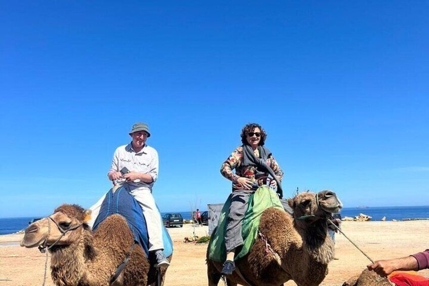 Vip Full Day Private Tangier Tour From Malaga All Inclusive 