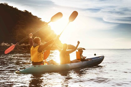 Dubrovnik: Kajakk- og snorkletur om morgenen med snacks