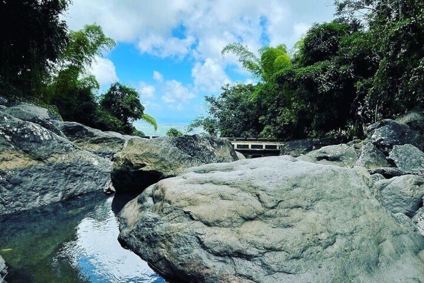 Private El Yunque Tour To Hidden Waterfall Remote Area