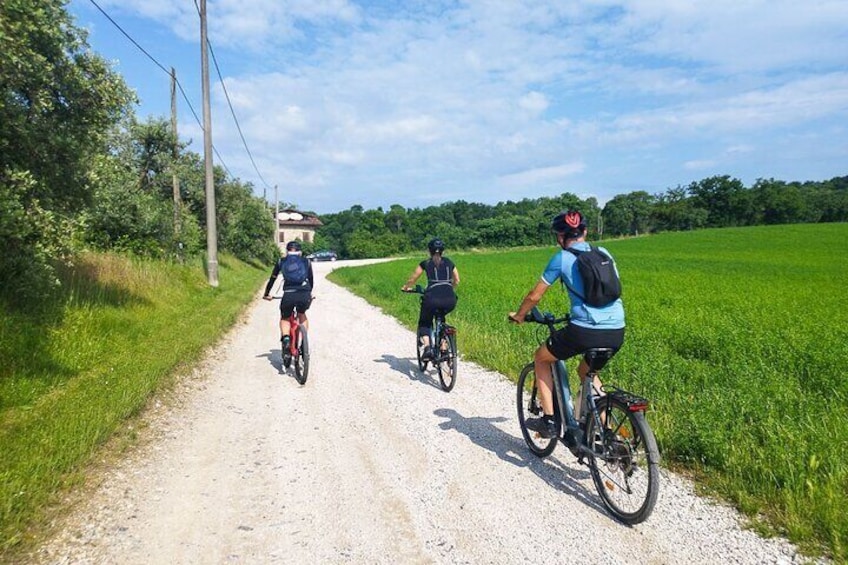 E-Bike tour and Wine tasting from Sirmione Inland