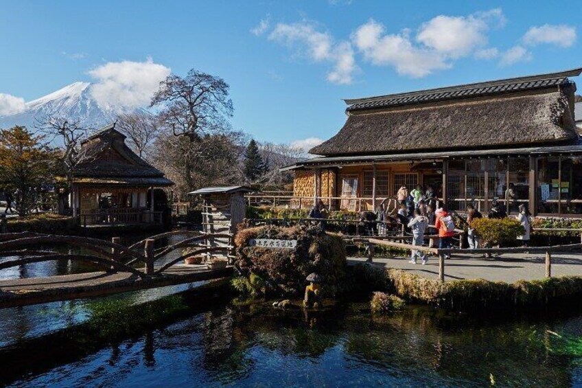 TOKYO Oishi Park & Oshinohakkai & Koedo Kawagoe & Fuji Mouontain