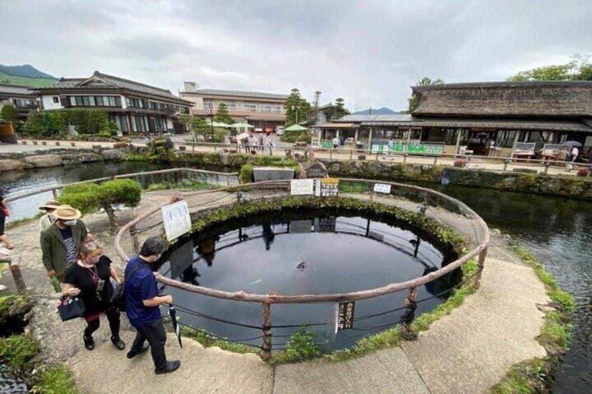 TOKYO Oishi Park & Oshinohakkai & Koedo Kawagoe & Fuji Mouontain