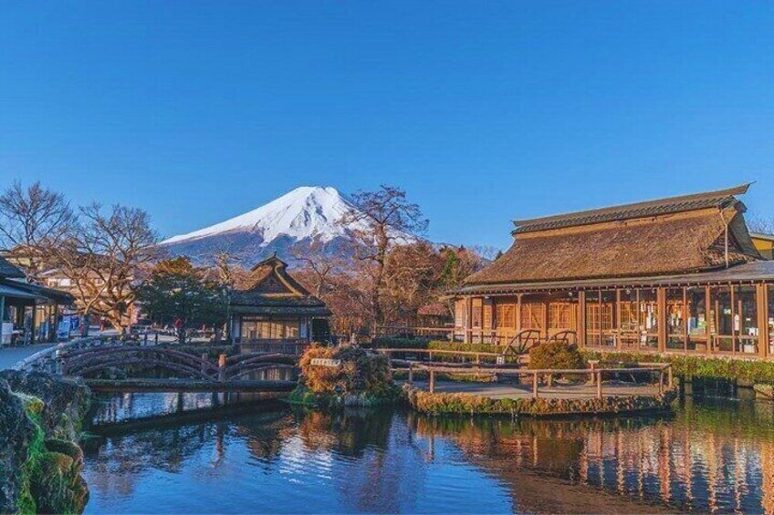 TOKYO Oishi Park & Oshinohakkai & Koedo Kawagoe & Fuji Mouontain