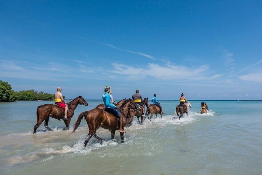 Horseback Riding Courtney Taylor