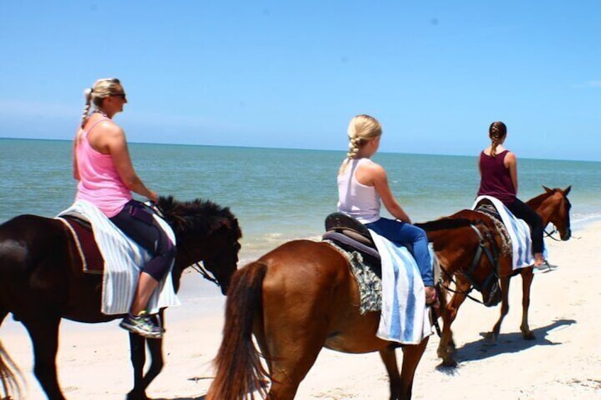 Horseback Riding Jamaica