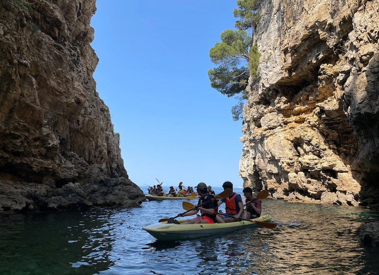 Picture 4 for Activity Pula: Cave Kayak Tour, Snorkeling and Cliff Jumping