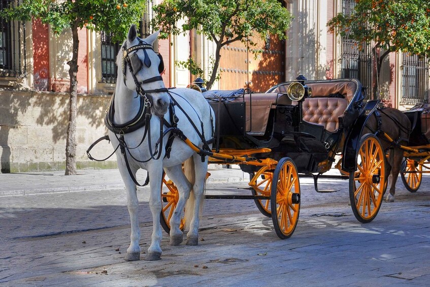 Picture 1 for Activity New York: Carriage Ride in Central Park