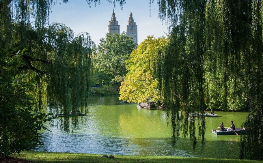 Picture 4 for Activity New York: Carriage Ride in Central Park