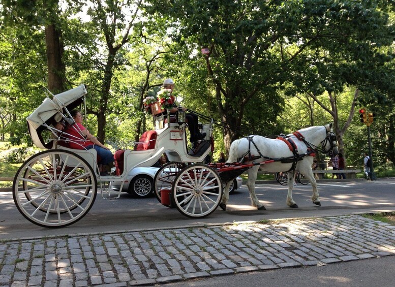 Picture 3 for Activity New York: Carriage Ride in Central Park