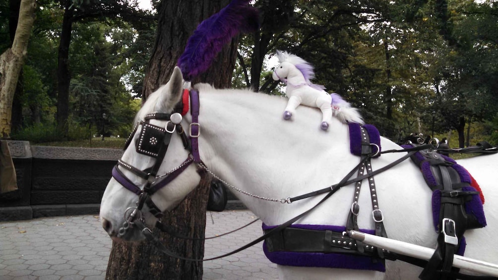Picture 5 for Activity New York: Carriage Ride in Central Park