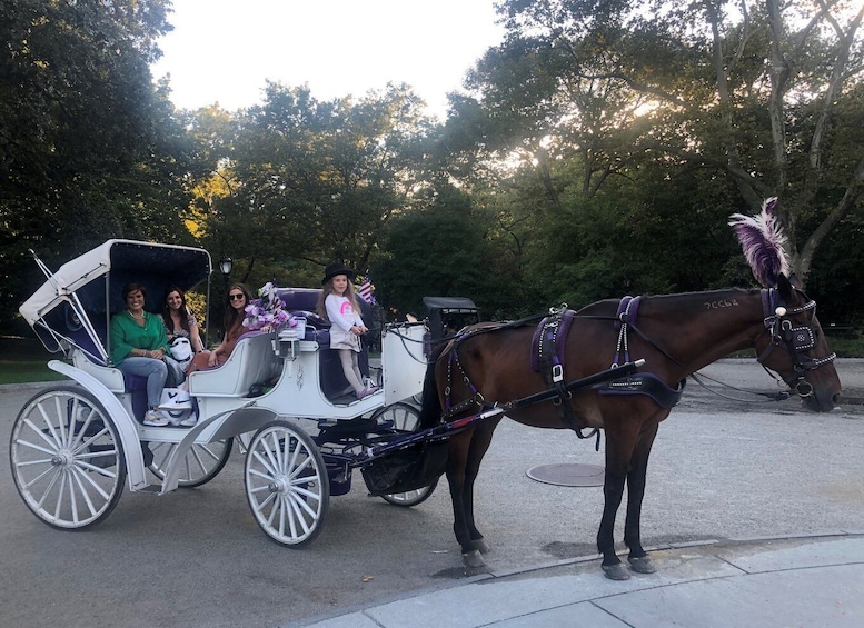Picture 7 for Activity New York: Carriage Ride in Central Park