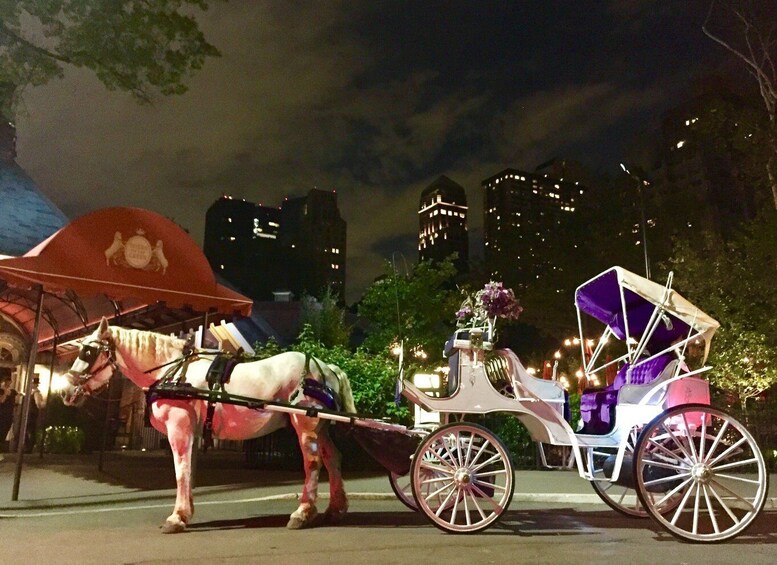 Picture 2 for Activity New York: Carriage Ride in Central Park