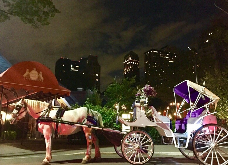 Picture 2 for Activity New York: Carriage Ride in Central Park