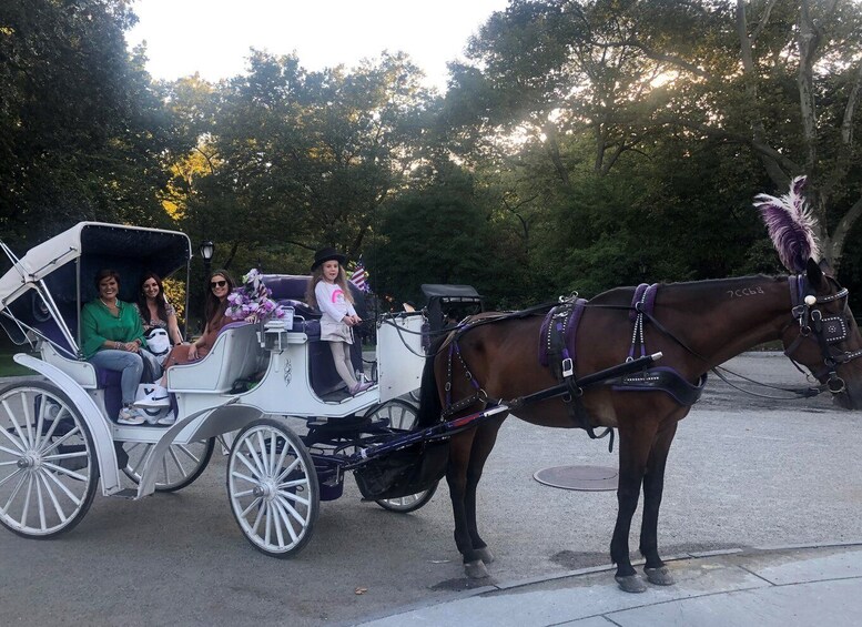 Picture 7 for Activity New York: Carriage Ride in Central Park