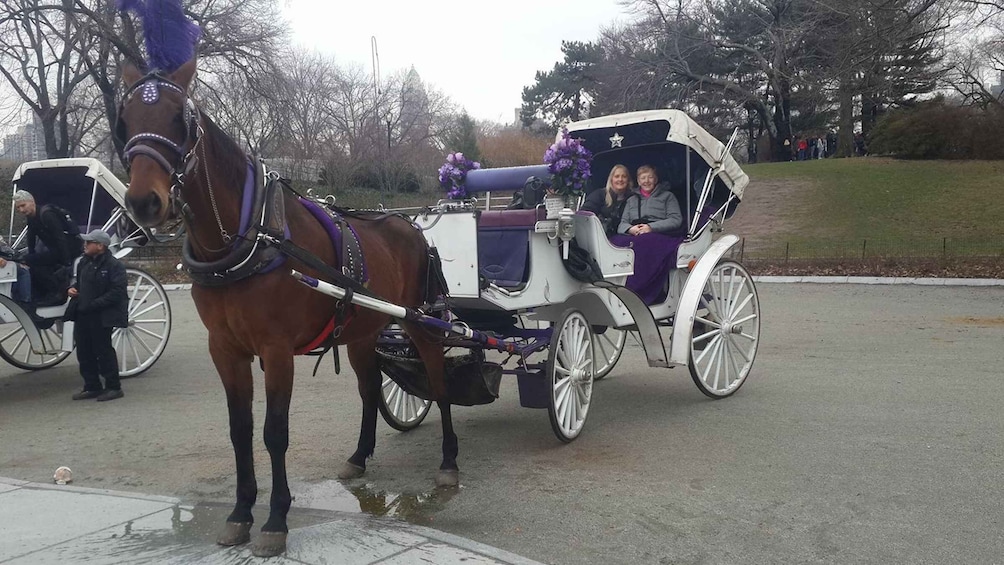 Picture 6 for Activity New York: Carriage Ride in Central Park